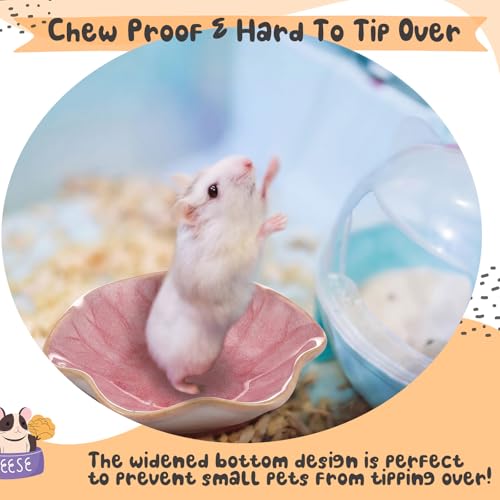 2 Pcs Hamster Food Bowl Ceramic Food Water Feeding Dish for Hamster Guinea Pig Hedgehog Gerbil Dwarf Rat Mice Chinchilla Sugar Glider(Lotus Leaf) - style: Lotus Leaf