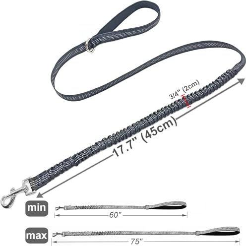 5FT Bungee Dog Leash Shock Absorbing Reflective Nylon Lead 2cm Wide | for Small/ Medium Dogs- Soft Handle- Lightweight- Anti-Pull Training- 6 Colors - color: Black