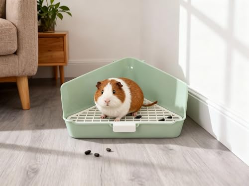 Large Rabbit Litter Box 10" x 10" x 7" with Broom & Grooming Kit, Low-Entry Corner Toilet Pan for Potty Training Rabbits Bunny Guinea Pigs Ferrets (Green)