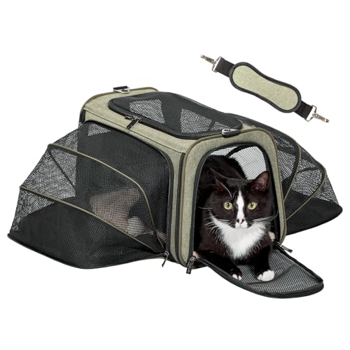 Petsfit Medium Double Expandable Cat Carrier for Cats and Small Dogs | 17 x 11 x 11 in; sized for Delta Air Lines; dual-side expansion, anti-sag frame and safety tether; up to 15 lb. - color: Green, size: 17"L x 11"W x 11"H