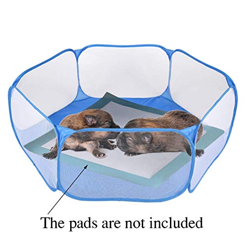 Rypet Guinea Pig Playpen Pop-Up, Outdoor Yard Fence for Small Pets,Blue | Breathable 360° Mesh View, Pops Open Fast, 47 x 15 in Play Space, Folds Flat for Travel, Rabbits Hamsters Hedgehogs - color: Blue, style: Open Top Playpen