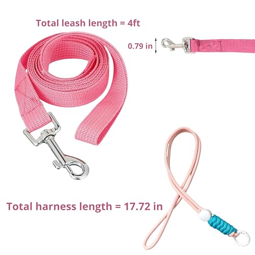 Ferret Leash Harness Adjustable Squirrel, Ferret Leash and Harness Sets for Ferrets Guinea Pig Chinchilla Rat Dragon Bearded Small Animal, Pet Squirrel Ferrets Accessories (Pink) - color: Pink