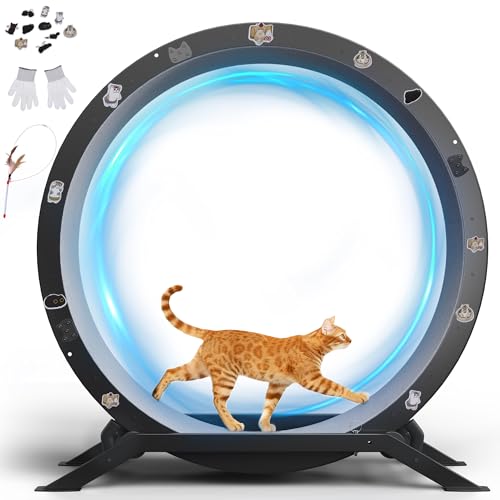 GTPLAYER Cat Wheels, 40" Diameter, Large Cat Exercise Wheel for Indoor Cats cat Treadmill Metal with Detachable Carpet & Teaser/Stickers, Ultra-Quiet Scroll Wheel with Latch, Safe and Stable, Grey