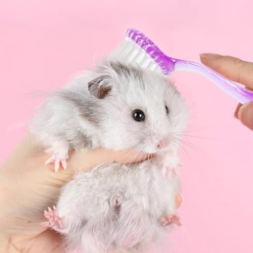 6 Pack Hamster Brush - Small Animal Bath Brush with Lid Soft Cleansing Brush Animal hair combing for Hedgehog Guinea Pig Rabbit Cat Chinchilla Ferret Small Animal Grooming Tool Cleaning Supplies