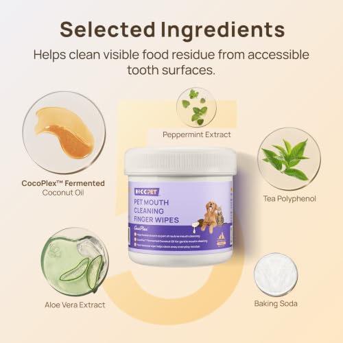 HICC PET Mouth Cleaning Finger Wipes for Dogs & Cats, 50 Count | Textured finger-fit wipes for routine mouth cleaning and visible food residue on accessible tooth surfaces after meals - color: Mint, size: 50 Count (Pack of 1)