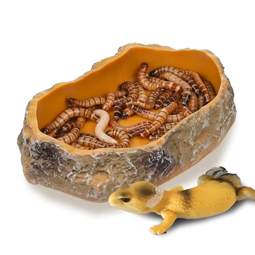 IBWell 5 Inch Reptile Food Dish Escape Proof Reptile Feeding Dish Resin Reptile Water Food Bowl for Bearded Dragon Chameleon Frog Snake Turtle Leopard Gecko - size: 5"