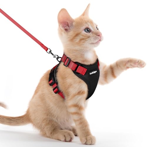 rabbitgoo Cat Harness and Leash Set, Escape Proof Vest, Black & Red | Soft Breathable Mesh, Easy Adjustable Fit, Snap Buckles, Sturdy Clip, Reflective Strips, for Kittens & Small Cats Walks, Xxs - color: Black & Red, size: Xxs