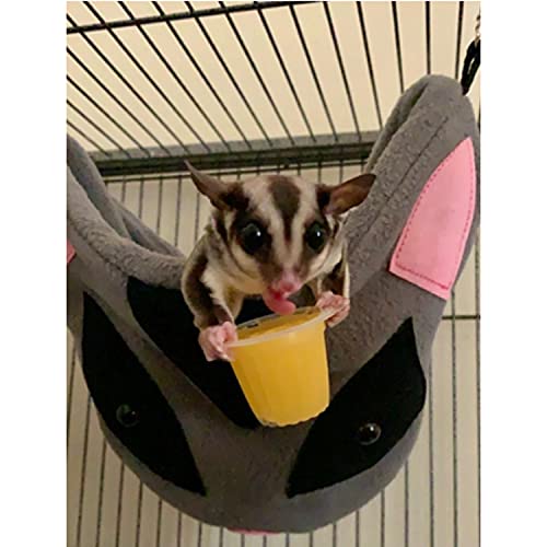 Nectar Pods (Pineapple) - Calcium-Fortified Jelly Fruit Treat - Sugar Gliders, Marmosets, Squirrels, Parrots, Cockatiels, Parakeets, Birds, Hamsters, Day Geckos, Kinkajous & Other Small Pets