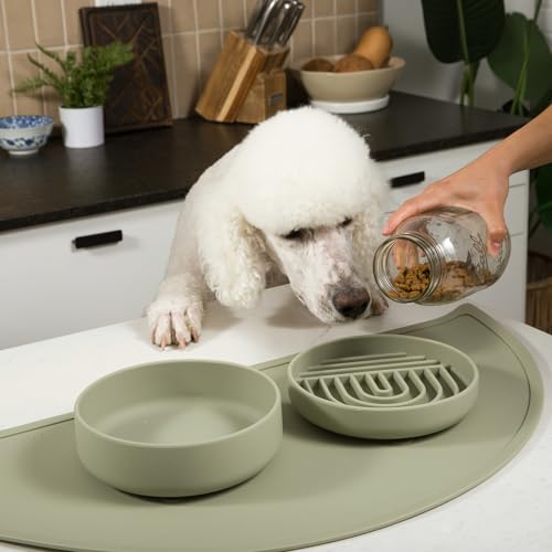 Slow Feeder for Dogs & Puppies, The Slowdown Bowl Silicone Slow Eating, Modern Lick Mat Design, Reduces Gulping, Fits 2 Cups, 7.5” Across x 1.5” Tall, Mealtime Challenge, Medium-Sage - color: Sage - Rainbow Design, size: Medium (7.5” Across x 1.5” Tall)