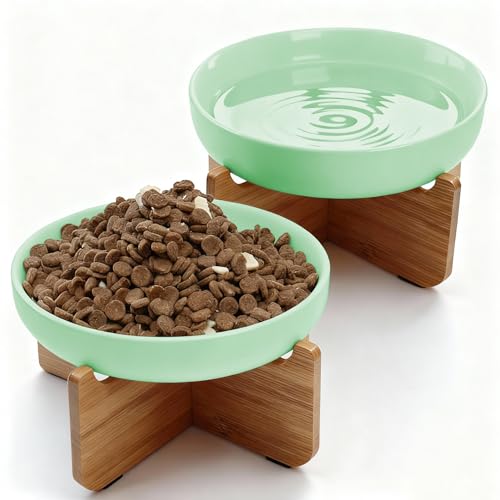 Shallow Elevated Cat Bowls with Bamboo Stand, 6.1 Inch Wide Ceramic Cat Dish Whisker Friendly, 2 Pack Pet Food and Water Plates - color: Mint green 2 pack