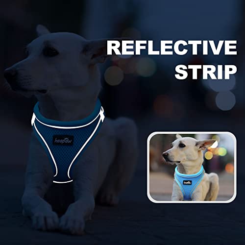haapaw Dog Harness with Leash Set, No Pull Adjustable Reflective Step-in Puppy Harness with Thickened Padded Vest for Extra-Small/Small Medium Dogs - color: Grey / Blue, size: S