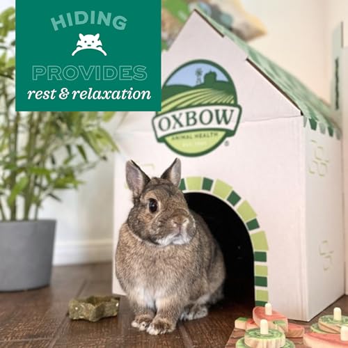 Oxbow Timothy Hay Tunnel, Guinea Pig Hideout, Rabbit & Bunny Tunnel, Edible | Guinea Pig Tunnel, Timothy Club, Timothy Hay, Rabbit Tunnel, Edible, Hand-Woven, Guinea Pig Enrichment, Rabbit Enrichment - color: Green, size: 9.45x7.48x6.10 Inch (Pack of 1)