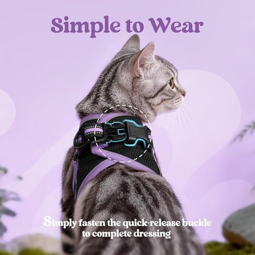 rabbitgoo Cat Harness and Leash Set, Step-in Soft Vest, Black-Light Purple | Escape Proof, Lightweight, Easy-on & Adjustable, Hook & Loop with Buckle, Reflective, for Kittens & Small Cats Walks, M - color: Black-Light Purple, size: M