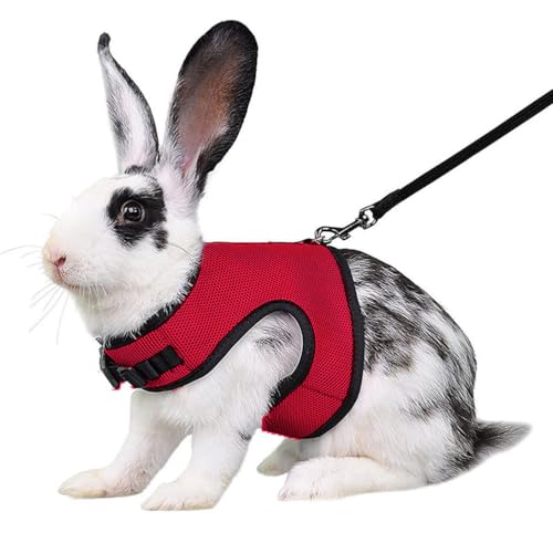 Red Rabbit Harness and Leash Set Ferret Harness Bunny Vest, M | Quick-release, Breathable, Escape Proof, Suit For 2-3months Young Rabbit, 2-4months Ferret, 3-5months Guinea Pig - color: Red, size: M