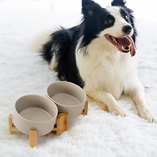 SPUNKYJUNKY 15° Slanted Ceramic Dog and Cat Bowl with Wooden Stand, Tilted Bulldog Food and Water Bowl No Slip Non-Spill for Cats Medium Dogs Big Face Pets 28.7 OZ (3.6 Cups, Grey × 2) - color: Grey, size: 3.6 CUPS × 2