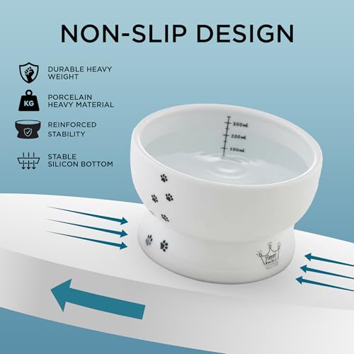 Necoichi Ceramic Elevated Cat Water Bowl, Whisker-Friendly (Cat, Regular) - color: Cat, size: Regular