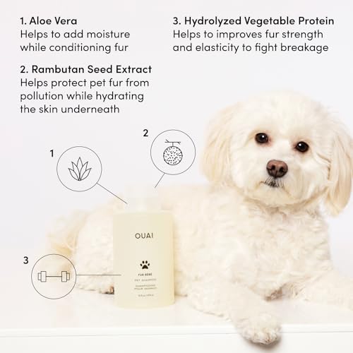 OUAI Fur Bébé Pet Shampoo - Mercer Street Scent (16 Fl oz) | Cat & Dog Shampoo for Gentle Cleansing, Hydration & Shine - Vegan & Cruelty-Free Pet Supplies with Aloe Vera & Panthenol