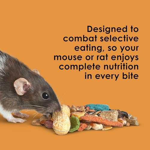 Kaytee Fiesta Mouse & Rat Food, Nutritious and Fun Blend, Supports Dental Health and Digestion, 4.5 pounds - size: 4.5 Pound (Pack of 1)