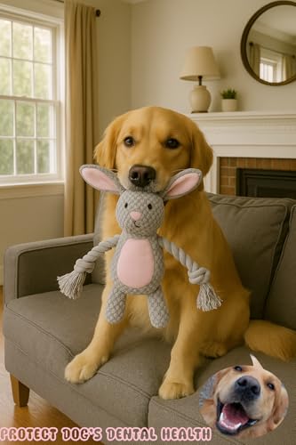 Plush Bunny Dog Toy, Squeaky Tug Toy with Rope Arms for Small Medium Dogs | Cute plush toy with sound features, designed for small and medium dogs, indoor play and daily entertainment - color: Grey