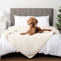 PETAMI Sherpa Fleece Waterproof CAT and Dog Blanket, Beige, Queen - color: Beige, size: Queen (90x90)