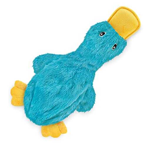 Best Pet Supplies Interactive Squeaky Dog Chew Toy, Ideal Dog Toys for Chewers, Small, Medium & Large Dogs, and Fetch Lovers - Crinkle Duck (Yellow, Purple & Turquoise), Large - color: Crinkle Duck (Yellow, Purple & Turquoise), size: Large