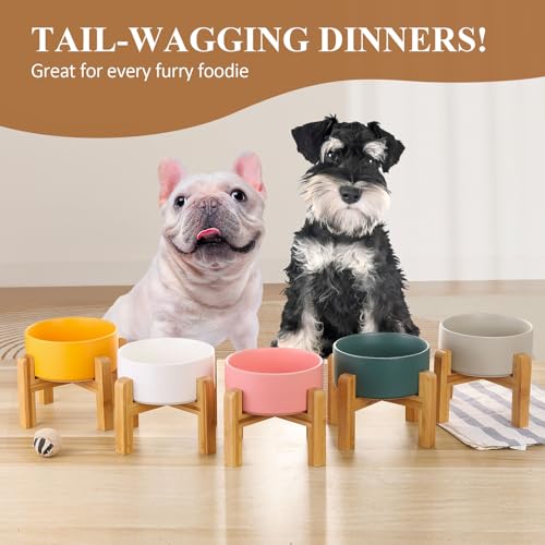 Ceramic Elevated Raised Cat Bowl with Wood Stand No Spill Pet Food Water Feeder Cats Small Dogs - color: White, size: Medium Dog Bowls 850ML*1
