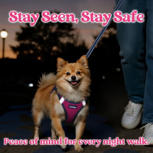 rabbitgoo Dog Harness Small Sized and Leash Set, Step in Soft Vest | Breathable Mesh, Easy Wear with Hook & Loop, Light and Reflective for Walking, Multi-colored, Rose Red & Navy Blue, XXS - color: Rose Red & Navy Blue, size: XXS (Chest: 12.4"-14.2")