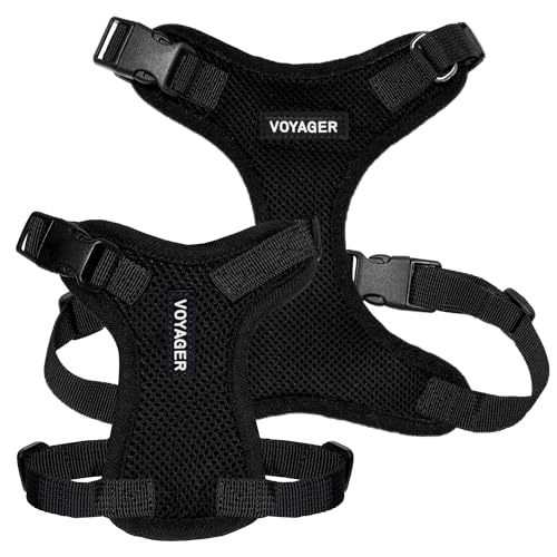 Voyager Step-in Lock Dog Harness - Black, X-Small | 13 - 16" in Chest, Adjustable, Breathable Air Mesh, Lightweight for Daily Walks, Strong Clips, Heavy Duty D-Ring - color: Harness (Black), size: XS (Chest: 13 - 16")