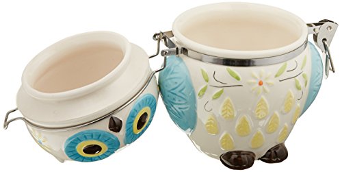 Boston Warehouse Hinged Jar with Floral Owl Design - color: Floral Owl