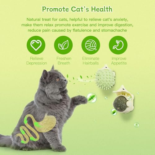 2 PCS Catnip Toys Self-Grooming Cat Brush with Catnip Ball & Gall Fruit, Kitty Kitten Scratcher Self Groomer Cat Toys for Indoor Cats