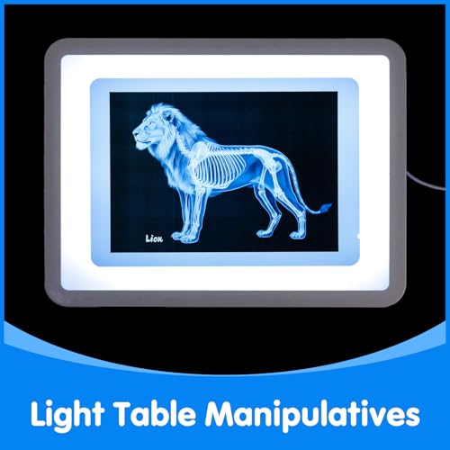 15 Pcs Zoo Animal Xrays for Kids - Light Table Manipulatives | Vet Role Play, Light Table Accessories, and Bone Structure Exploration - style: Zoo Series
