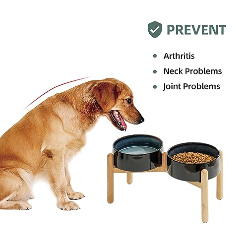 Havniva Elevated Dog Bowls Ceramic Dog Bowls with Stand, Dog Food Bowl | 8.3” Raised Dog Bowls with Non-Slip Wood Stand, Dog Food and Water Bowl Set, Double Dog Feeding Bowls for Large Dogs - color: 2 Bowls+Stand - Starry Sky, size: 8.3inch