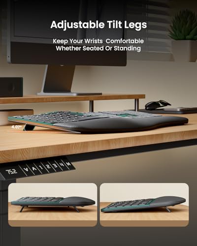 ProtoArc EKM01 Plus Wireless Ergonomic Keyboard Mouse Combo - Green | Full-size Split Keyboard with Cushioned Wrist Rest, Ergonomic Mouse, 3-Device Bluetooth/2.4G, USB-C Rechargeable - color: Green