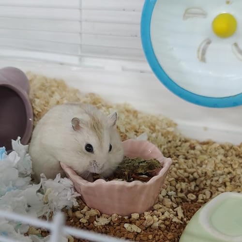 Small Ceramic Pet Hamster Bowl, Easy to Clean Anti Flipping Hamsters Food and Water Bowl, Small Animal Bowls for Dwarf Hamster, Parrots (Blue, s) - color: Blue, size: s,1pc