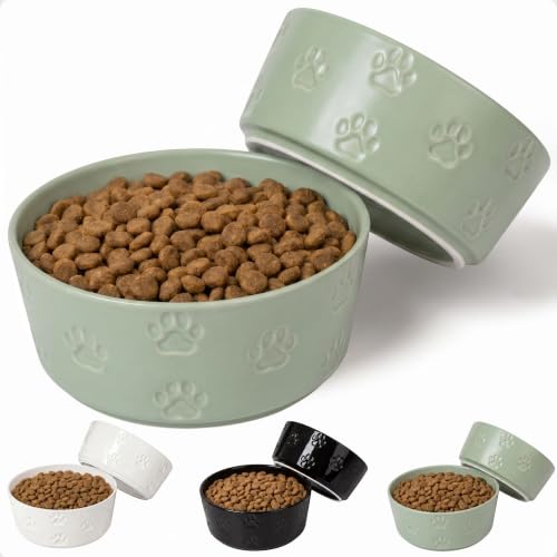 Ceramic Dog Bowl Set of 2 with Anti-Skid Base 7.5" W x 3" H, 6 Cup Capacity | Thick Ceramic, Dishwasher Safe, Anti-Skid Rubber Base, 6 Cups per Bowl, Ceramic Food & Water Bowls Set of 2 for Large Dogs - color: Sage Green, size: Large