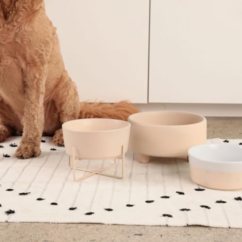 Waggo Uplift Ceramic Dog Bowl for Small Medium and Large Breeds - Heavyweight and Durable Pet Food and Water Dish Crock, Dishwasher Safe, Modern, Elevated Feeder (Buttercream, Small) - color: Buttercream, size: Small