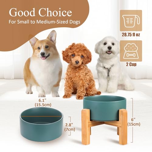 Ceramic Elevated Dog Bowl with Bamboo Stand, for Small & Medium Dog, Green - color: Green, size: Medium