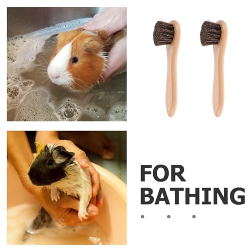 PRETYZOOM Hamster Grooming Brush Soft Bristle Small Pet Bath Brush with Handle 6.10 in for Guinea Pigs Rabbits Hamsters Gentle Shedding Cleaning and Massage