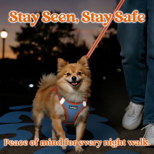 rabbitgoo Dog Harness Small Sized and Leash Set, Step in Soft Vest | Breathable Mesh, Easy Wear with Hook & Loop, Light and Reflective for Walking, Multi-colored, Blue & Orange, XXS - color: Blue & Orange, size: XXS (Chest: 12.4"-14.2")