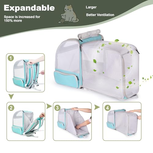 Backpack to Carry Cat and Small Puppy up to 16 Pounds, Breathable Pet Carrier to Transport Kitten Rabbit to Vet Visit Bag, Airline Approved Collapsible Expandable Black - color: Green