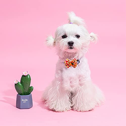PET SHOW 4pcs Small Dogs Collar Flowers and Bows Charms For Festival Holiday Party Cats Rabbits Slides on Collars Leashes Puppies Medium Dog Collar Attachment - color: Multicolor