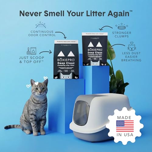 Boxie Probiotic Clumping Cat Litter 40+ Day Odor Control Dust Free 40 lb - size: 40 lb
