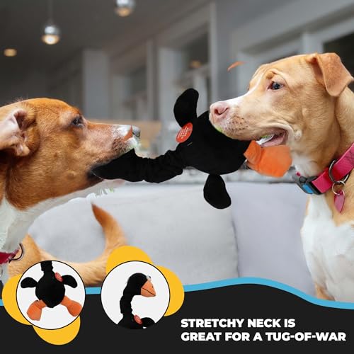 SPOT Chirpies Plush Dog Toy – Bird Sound Squeaky Toy for Small and Medium Dogs, Light to Moderate Chewers, Stretchy Bungee Neck, Recycled Stuffing – 14 in, Assorted Styles