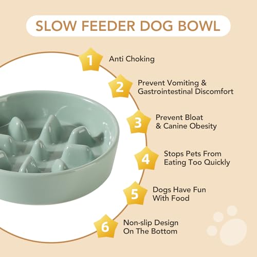 Havniva Elevated Slow Feeder Dog Bowls, Ceramic Dog Bowl Slow Feeder Set | 1.2 Cups Raised Slow Feeder Dog Bowl for Small Breed, 6.1” Dog Water Bowl with Wooden Stand, Puzzle Dog Food Bowl, Non-slip - color: Light Green