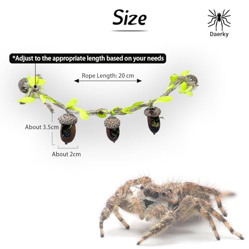 Jumping Spider Hide, Magnetic Climbing Rope Bridge, Handmade Real Acorn Hideaway Cave, Spider Platform, Decorative Accessory for Small Reptile Enclosures (Style 1) - style: Style 1