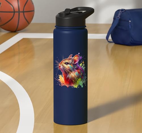 Degu Stainless Steel Insulated Water Bottle - color: Navy Blue
