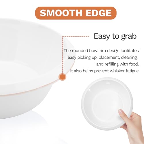2PCS Cat Bowls Pet Feeding Dish 6.3 Inch, Wide Pet Bowl Pet Feeding Bowl for Indoor Cats, Replacement Food and Water Bowl, Wide Shallow Feeder Bowls for Kitten, Puppy, Rabbit (White) - color: White