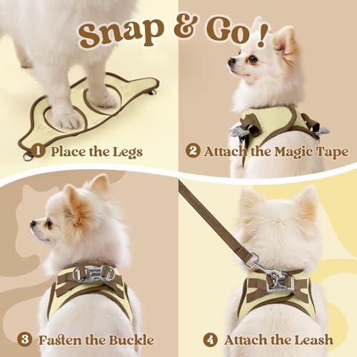 rabbitgoo Dog Harness Small Sized and Leash Set, Step in Soft Vest | Breathable Mesh, Easy Wear with Hook & Loop, Light and Reflective for Walking, Multi-colored, Beige & Coffee, XXS - color: Beige & Coffee, size: XXS (Chest: 12.4"-14.2")