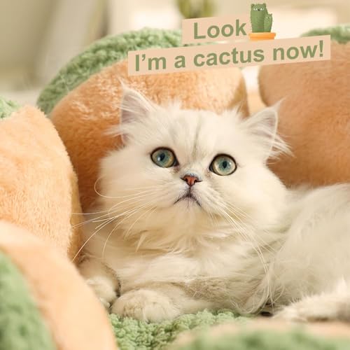 CWV Cute Cat Beds Kitten Beds, Soft Small Dog Beds, Washable Pet Beds for Puppy and Kitty, Cactus Shape, 23 Inch - color: Green