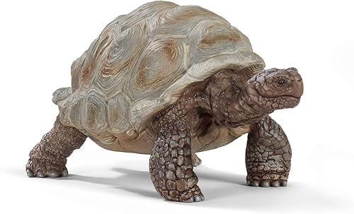 Schleich Wild Life - 3" Galapagos Giant Tortoise Figure - Realistic Turtle Toy for Boys and Girls - Wild Animal Educational Toy - Zoo Wildlife Figurine for Toddlers and Kids Ages 3+ | 13337